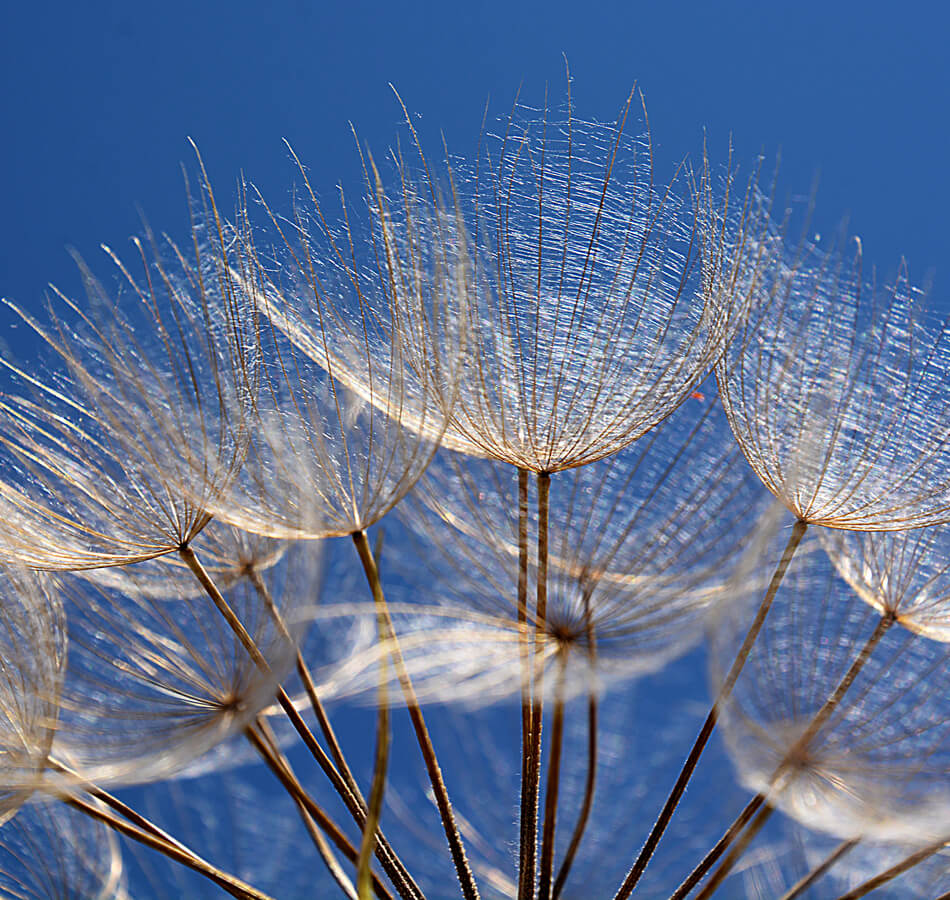 socio-economic-impact