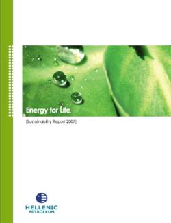 SUSTAINABILITY REPORT 2007